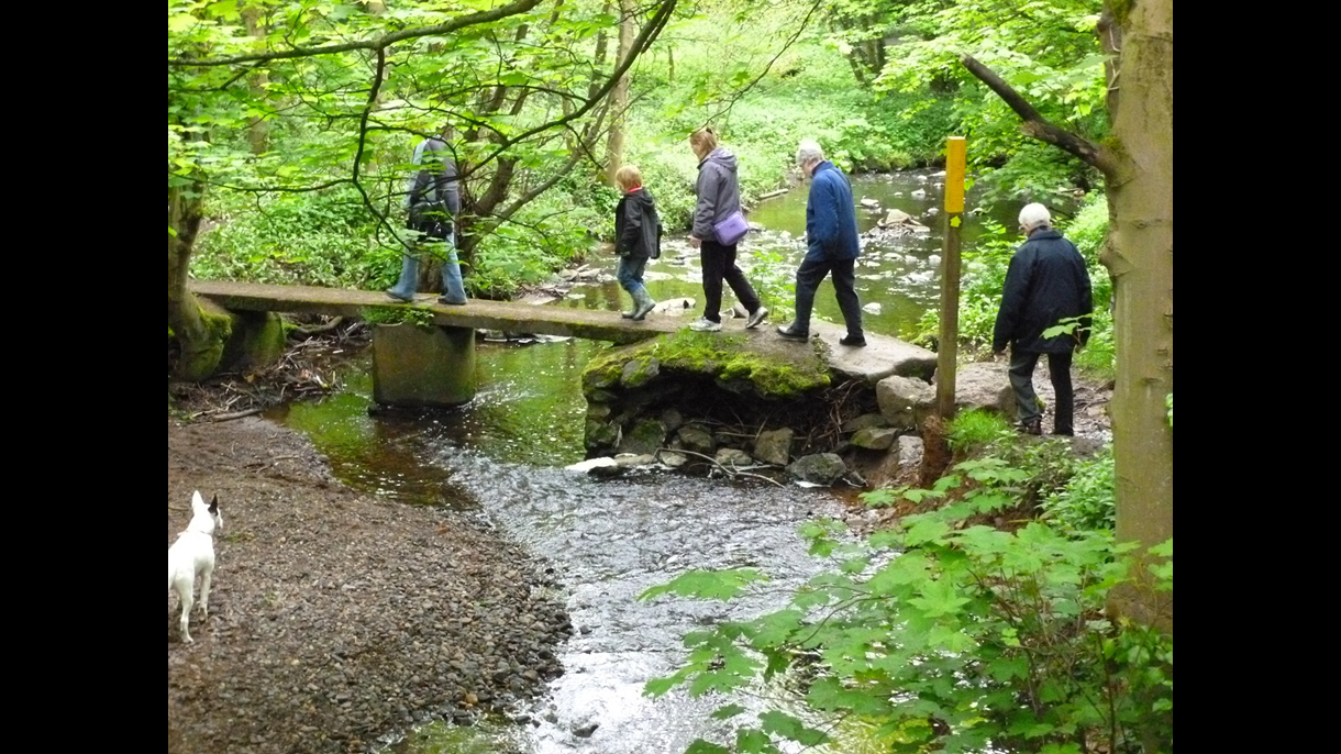 Walking South Derbyshire District Council